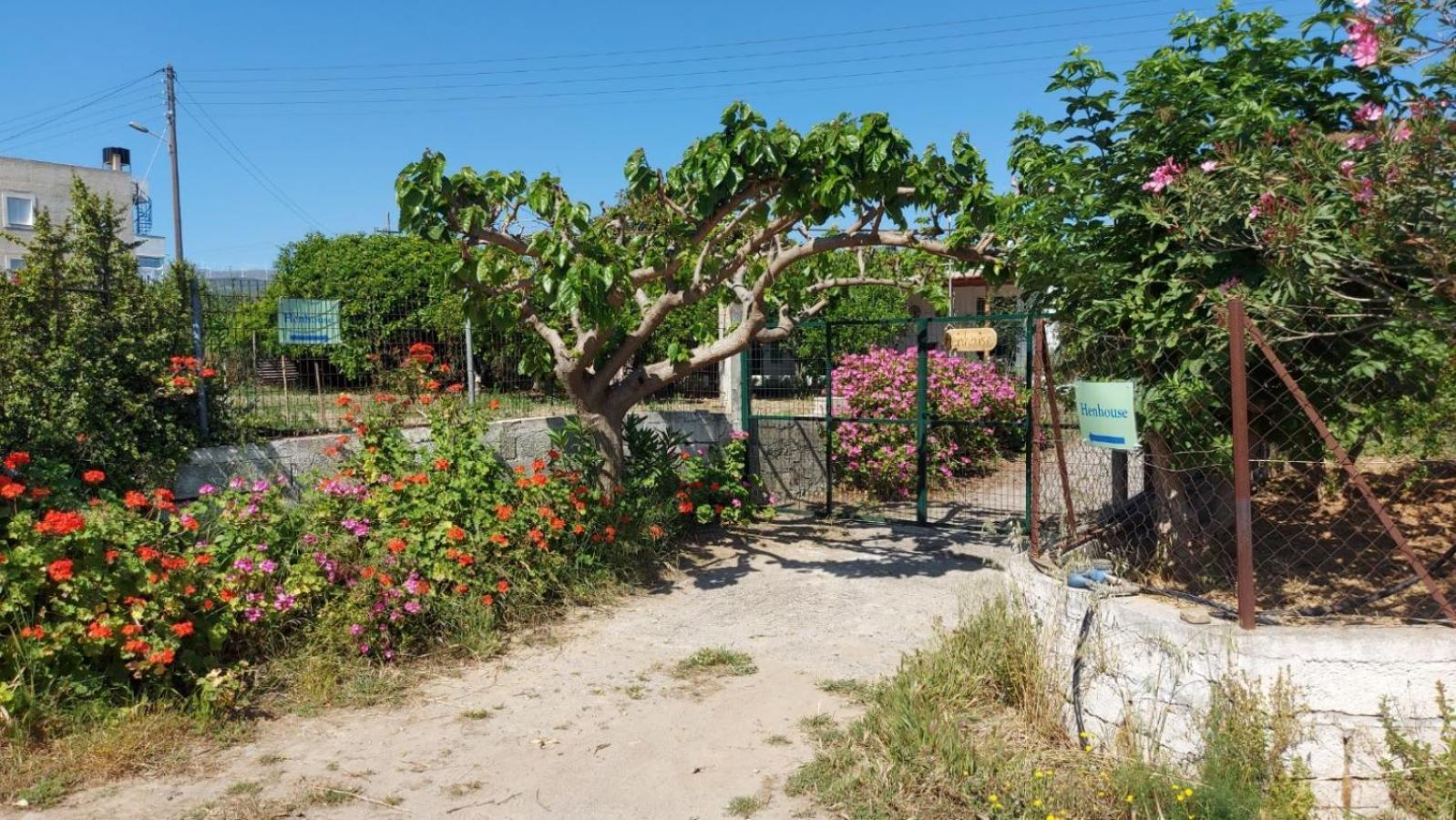 Agritourism Cottage Near Sitia Exterior foto